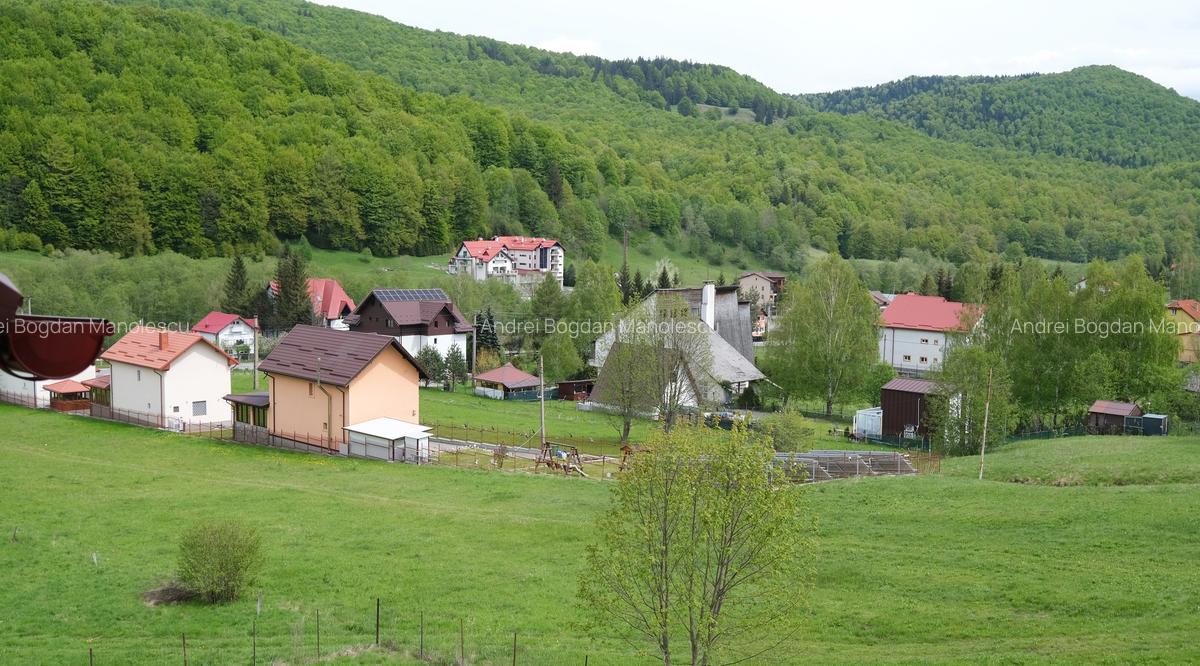 Vanzare vila mare si noua la munte in Cheia judetul Prahova langa padure - 6