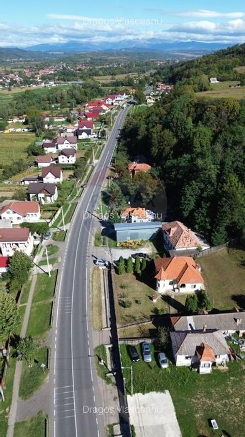 Spatiu comercial si casa de vanzare in Furnicosi. - 12
