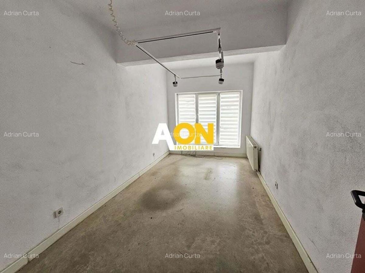 Spatiu industrial pentru productie sau depozitare, 1600 mp, Sebes - 19
