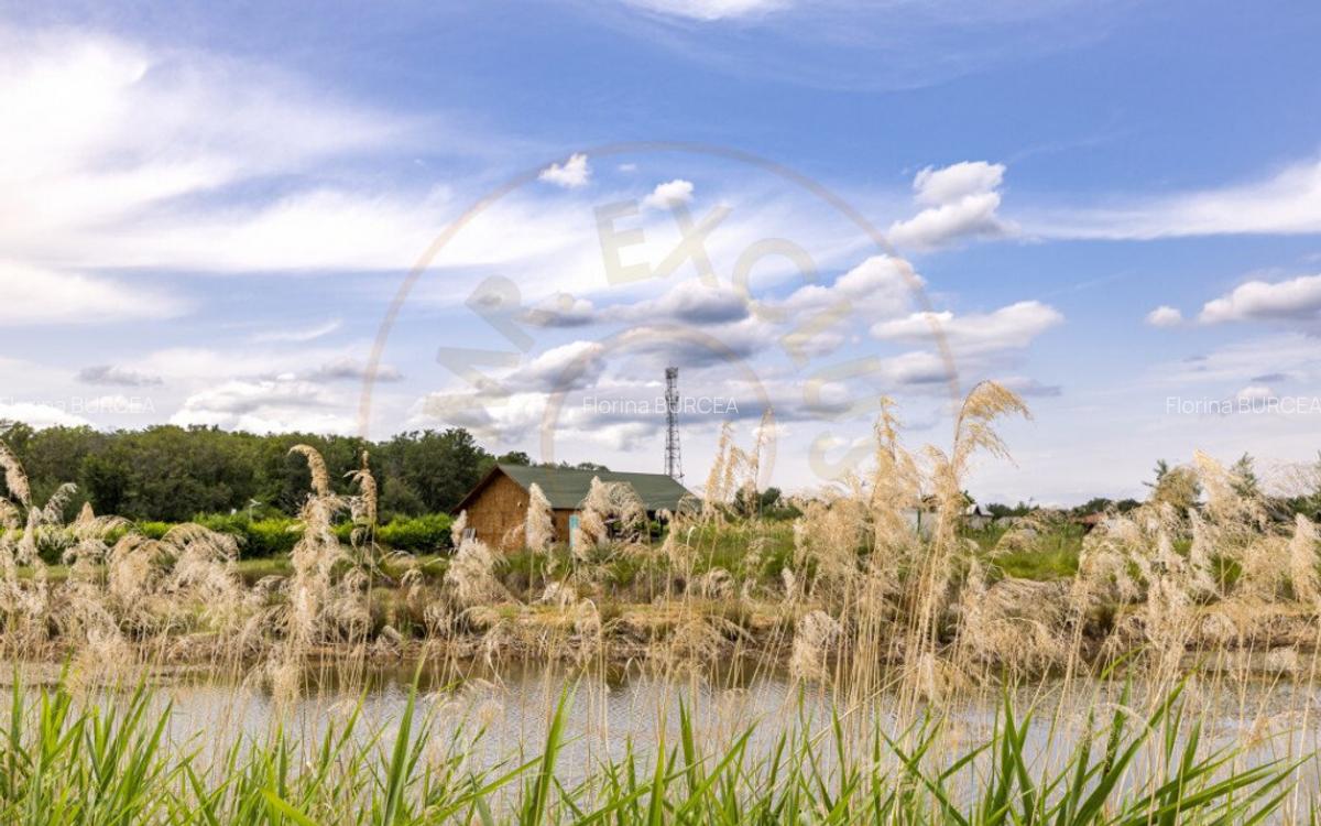 Motel, camping, piscina si lacuri de pescuit pe un teren de - 6