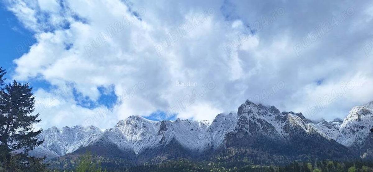 Casa vila pensiune teren Zamora apartament castel Cantacuzino - 6