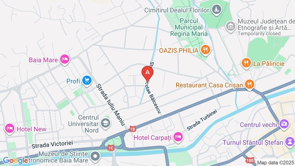 Casa cu 3 apartamente - locatie unica in Baia Mare - 1