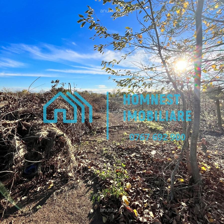 Stefanestii de Jos, Ilfov, teren 996.08 mp - 5