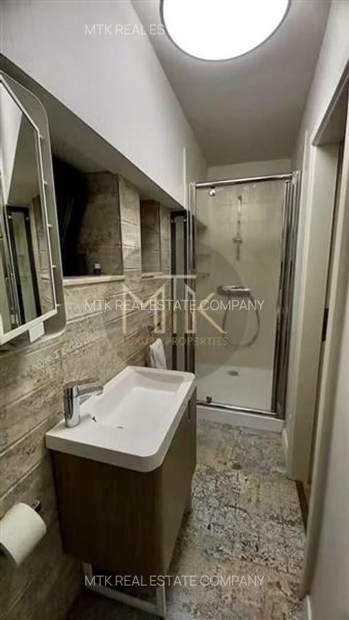 Apartament mobilat, 3 camere - zona Kiseleff - 11