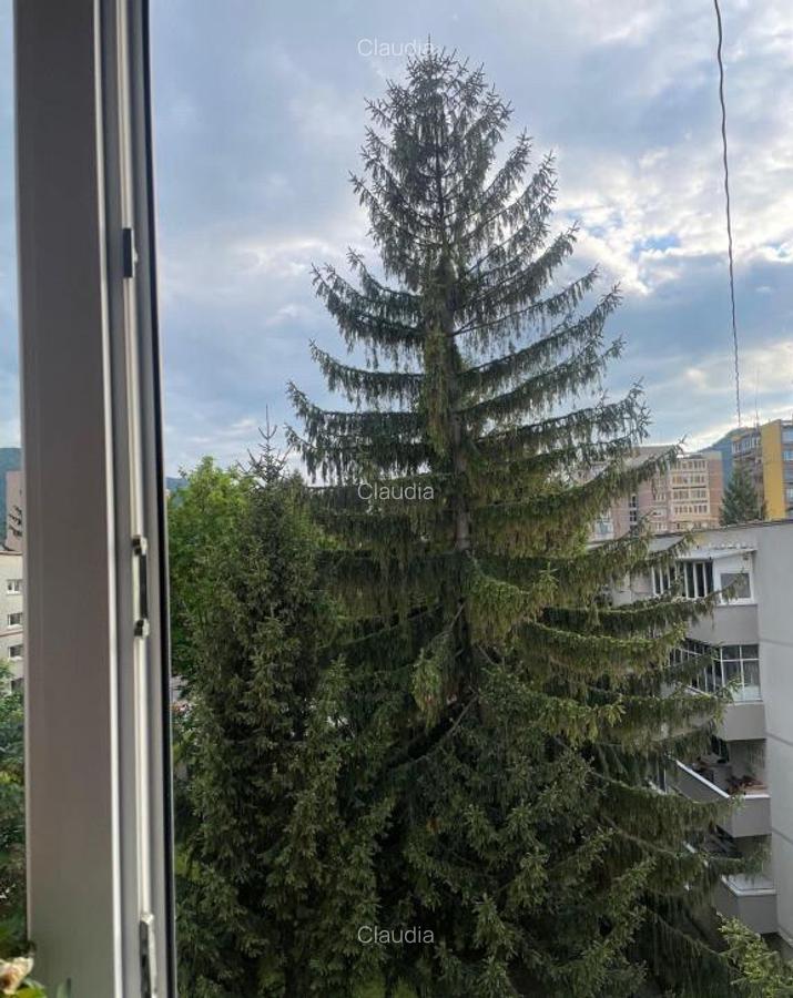 Apartament 2 camere Astra - 5