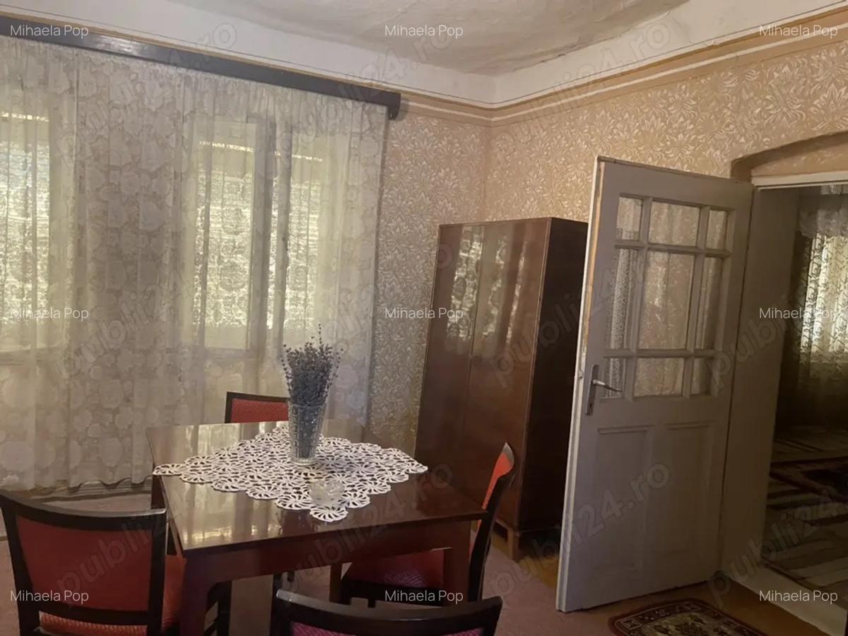 Vand casa in Sanmartinul Sarbesc - 2