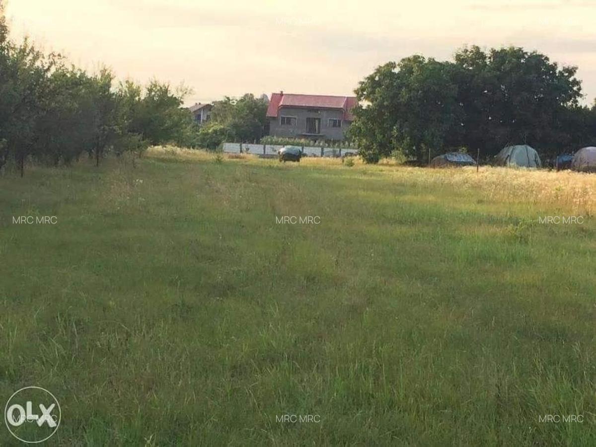 Teren in Ciofliceni, comuna Snagov, pe strada Stefanita Voda. Pret negociabil. - 9