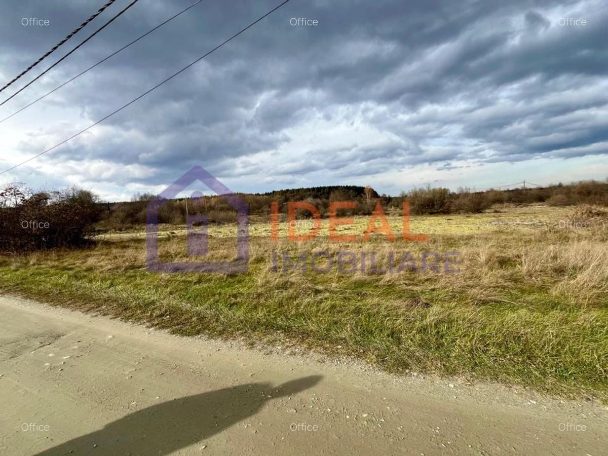 Teren extravilan 868 mp, Cârțișoara - 3