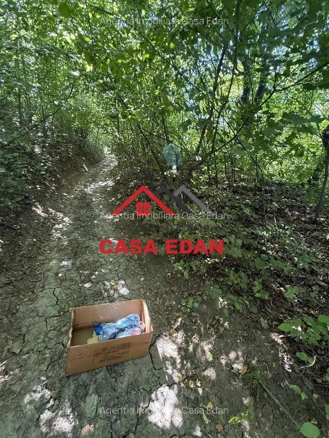 Teren intravilan neconstruibil in Poiana Campina--550 mp--5.300e - 14