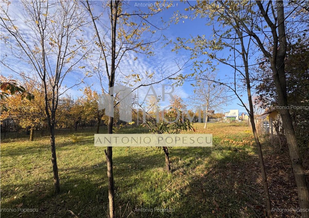 Teren intravilan, in Paulesti, Prahova - 3