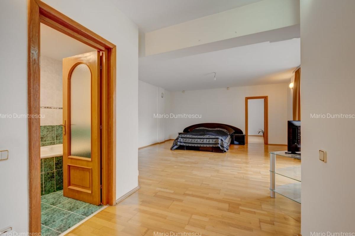 Vila de vanzare Domenii-Ion Mihalache - 8