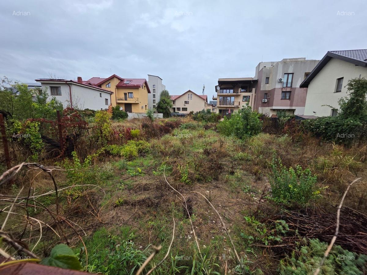 B-ul Nicolae Grigorescu, chiar la pasajul peste Spaliul Unirii, - 5