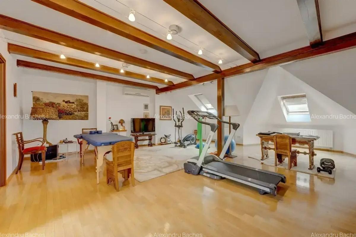 Vila de Lux ideal familie / sediu de firma in zona centrala - 17