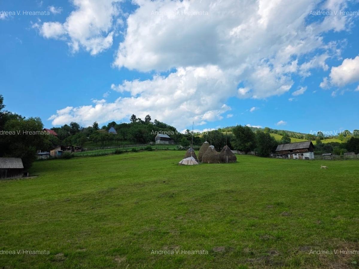 Teren intravilan - 6312 mp - Rucar, Argeș - 1