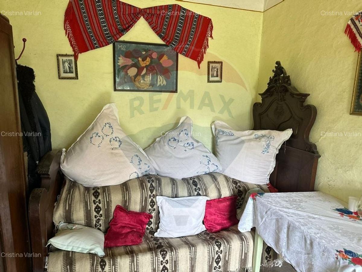 Teren intravilan 4.779 mp + casa si anexe - Girov, Neamt - 13