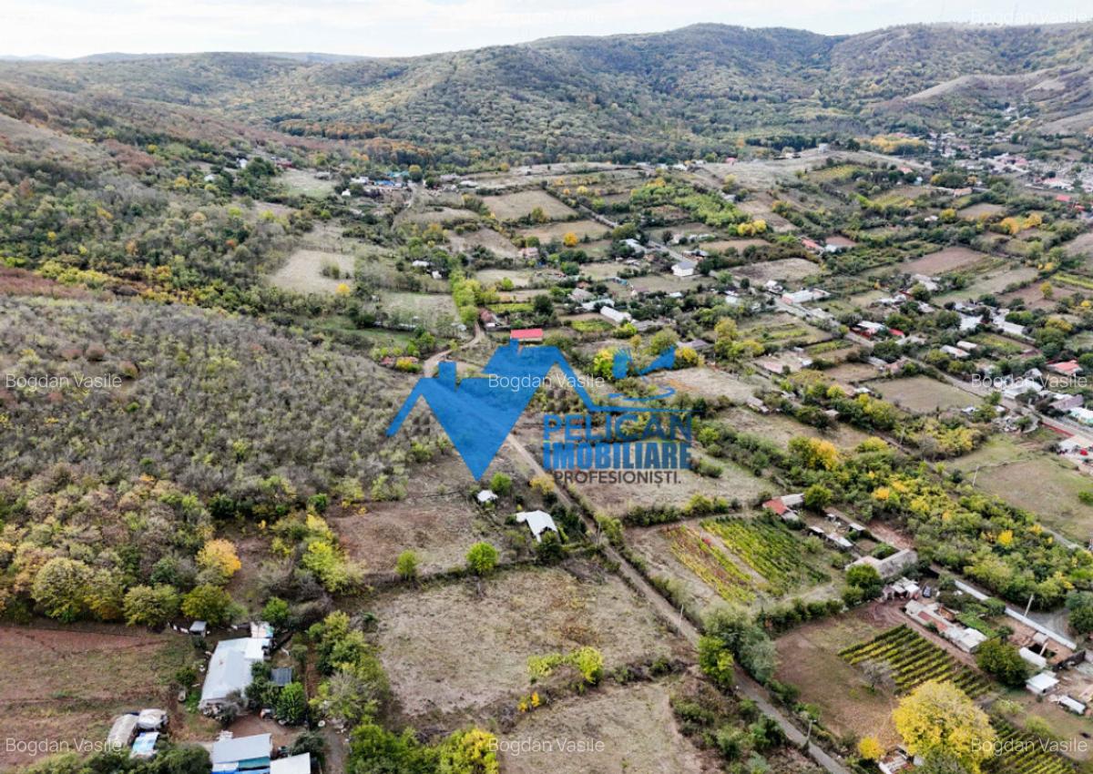 Teren intravilan NICULITEL, zona deosebita, 3044MP - 2