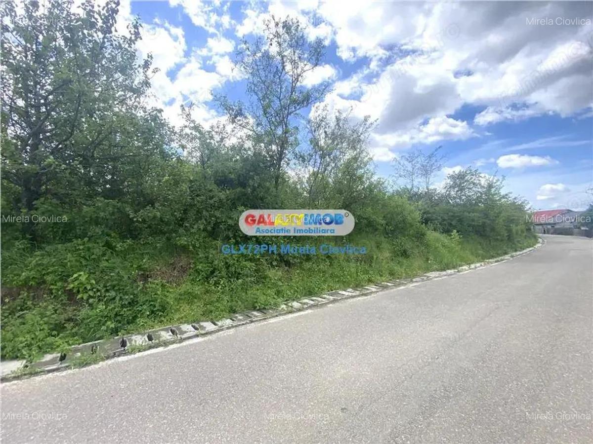 Vanzare teren intravilan Baicoi zona Tintea - 2 Vanzare teren intravilan Baicoi zona Tintea - 2