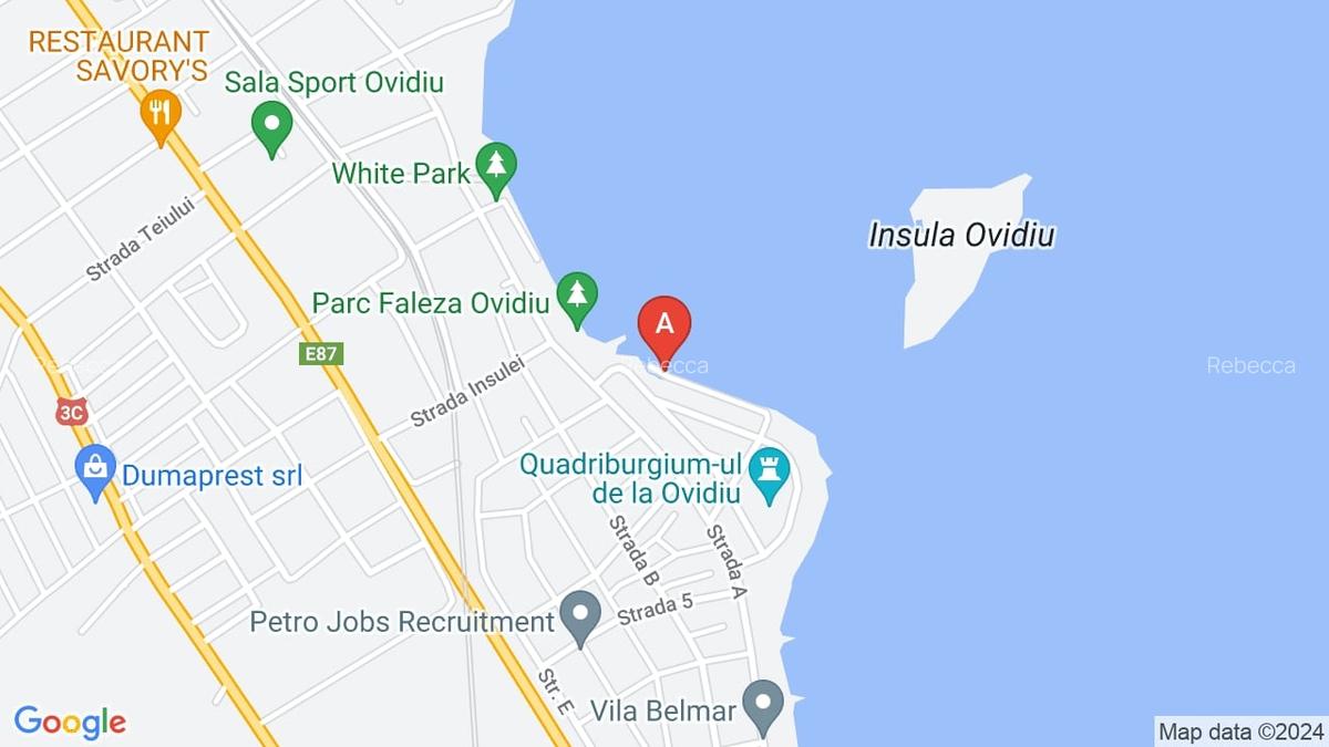 Vila P+1E+mansarda  în cartierul rezidențial Lake Residence - 4