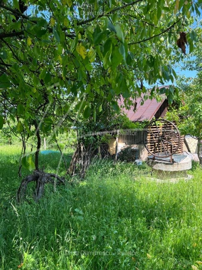 Teren intravilan de 1740 mp cu constructie in Provita de Sus-PH. Casa gratis! - 14