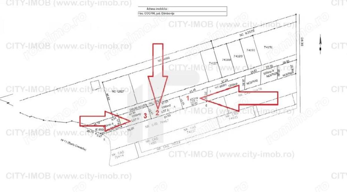 Refugiu la marginea padurii 1000 mp de liniste in Cocani. - 10