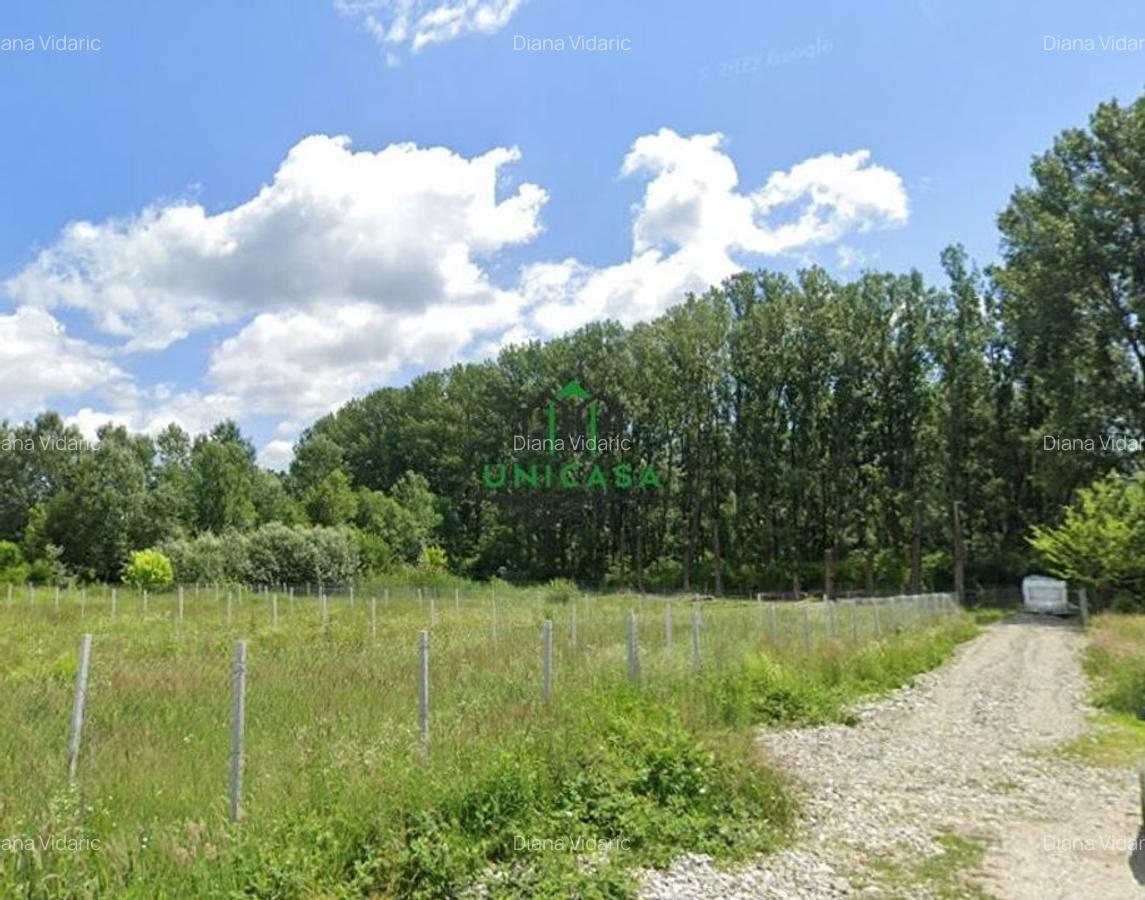 Teren Bujoreni  1073mp / Intravilan - 3