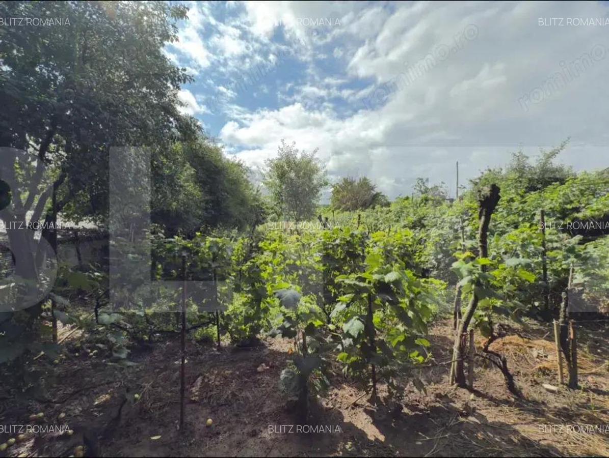 Teren Intravilan + Extravilan 5000mp cu anexa demolabila Manastirea Doamnei - 4