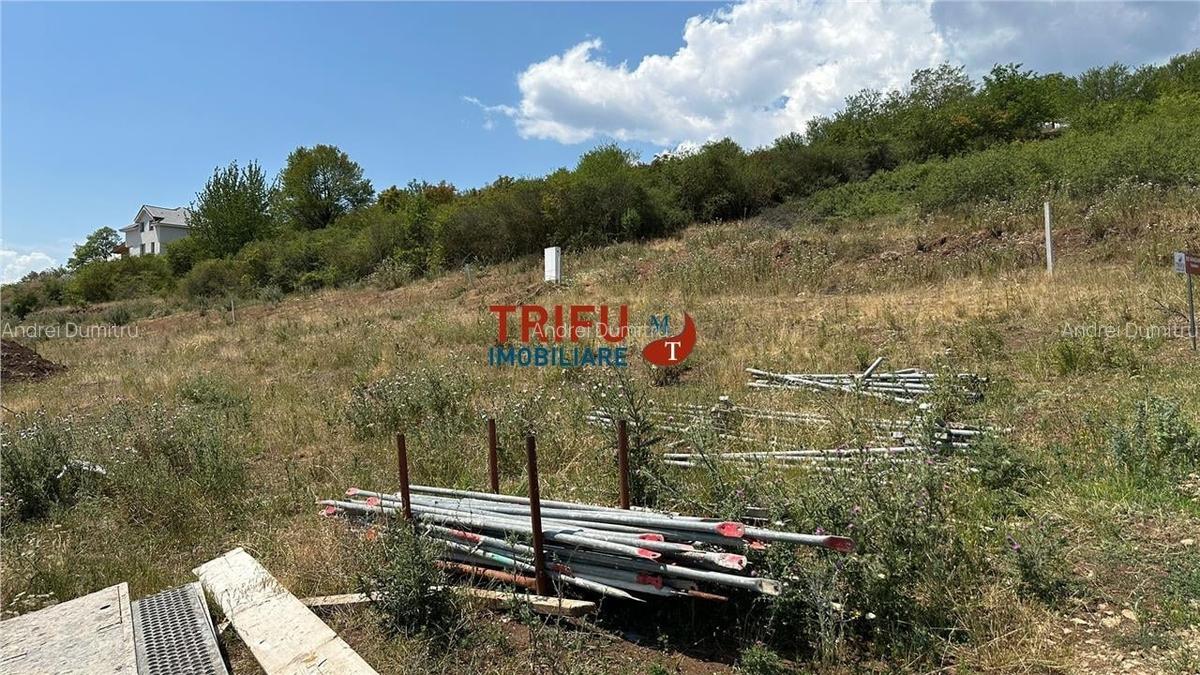Teren de vanzare 600 mp zona Piata Cetate - 3
