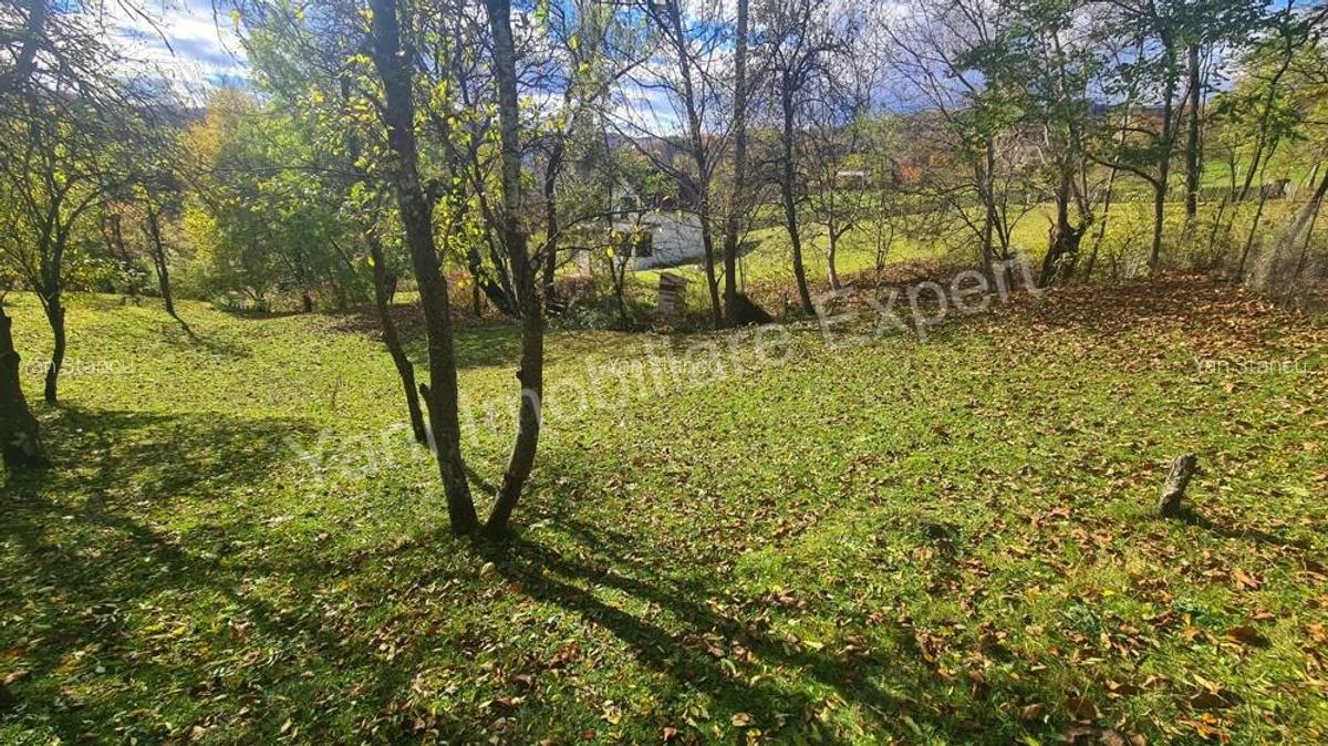 Teren de vanzare in comuna Arefu, jude? Arge?. - 11