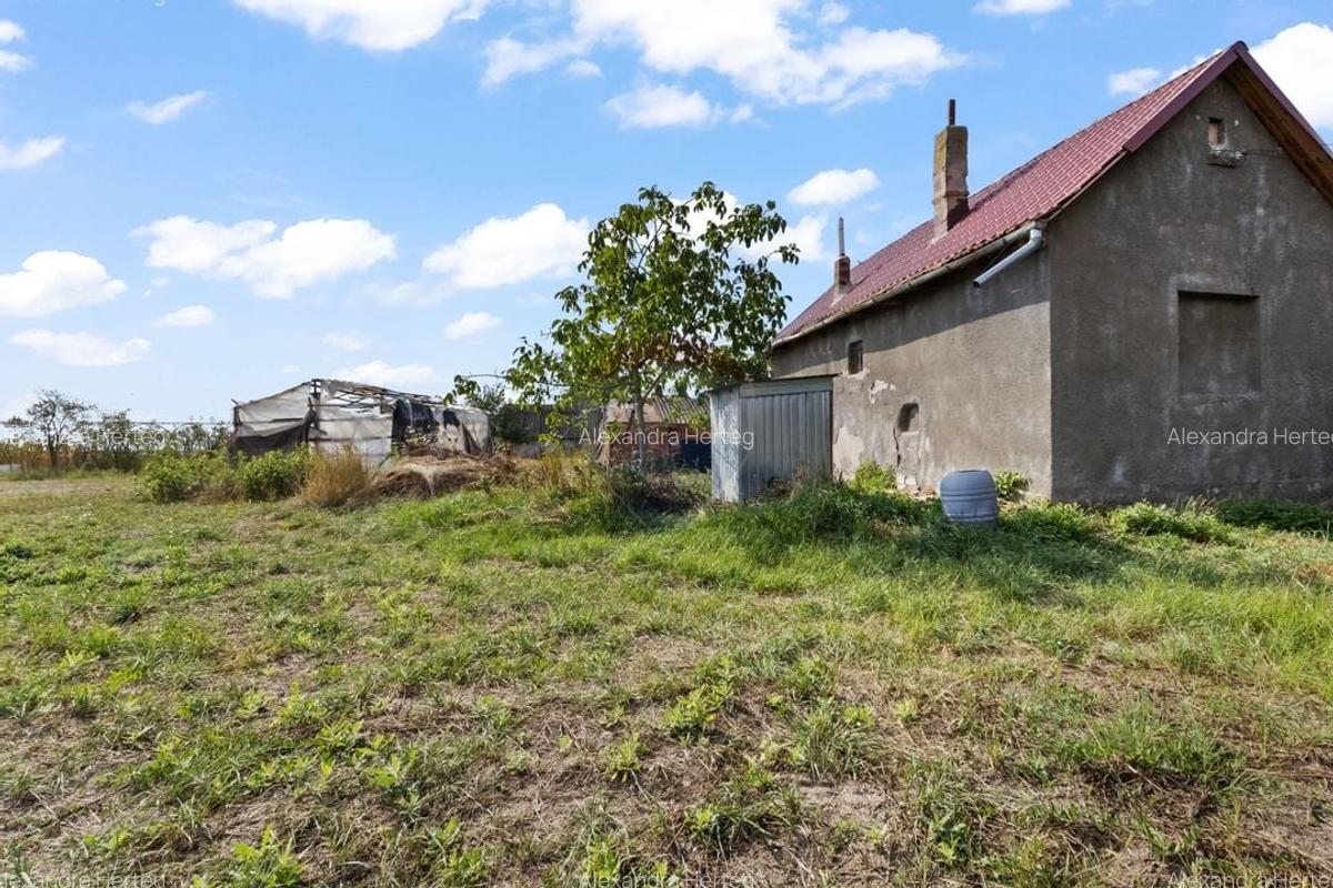 Casa de vanzare cu 4 camere- Nadab, oras Chisineu-Cris, judetul Arad. - 19