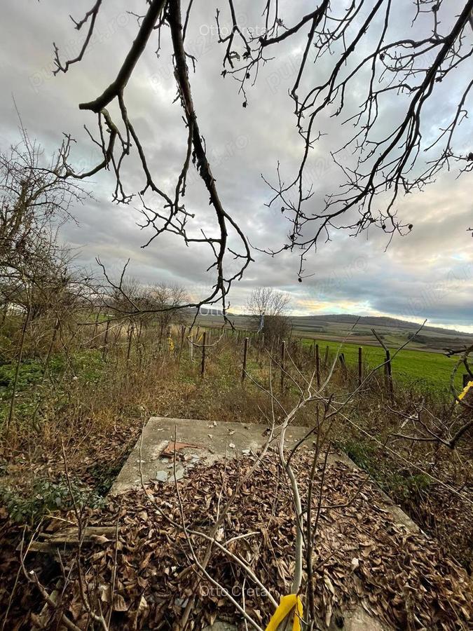 Vand Casa Cisteiu de mures - 6