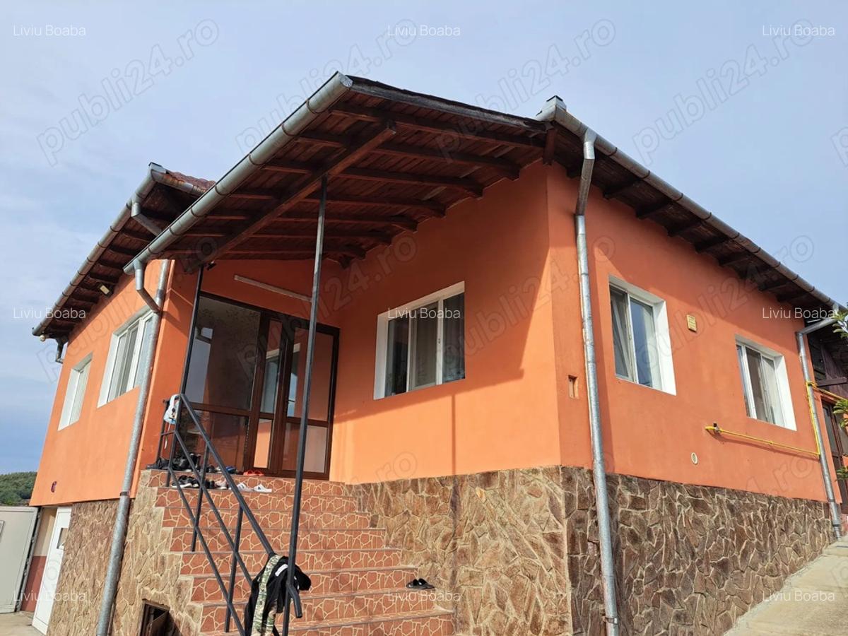 Casa Mihaesti la 12 km de Valcea - 1