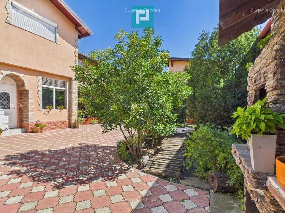 Pensiune la Orțișoara - 45