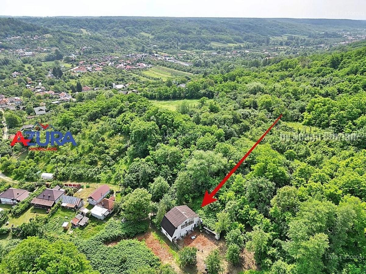 Casă de vânzare la liziera pădurii - Comuna Bogați, Argeș - 13