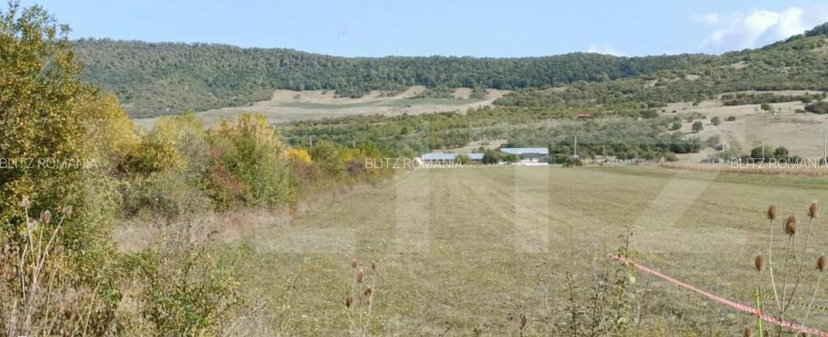 Teren Intravilan de vanzare, 4.900 mp, zona parcului Industr - 5