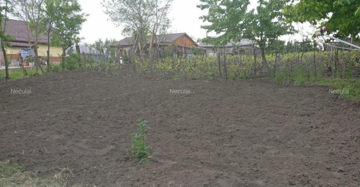 Casa batraneasca cu teren Romanesti, Iasi - 4