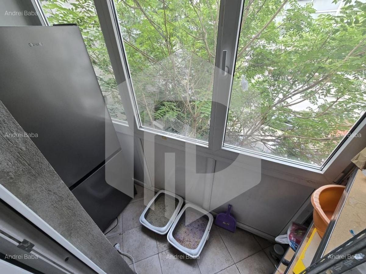 Apartament 4 camere 105 mp strada Calea Mosilor - 19