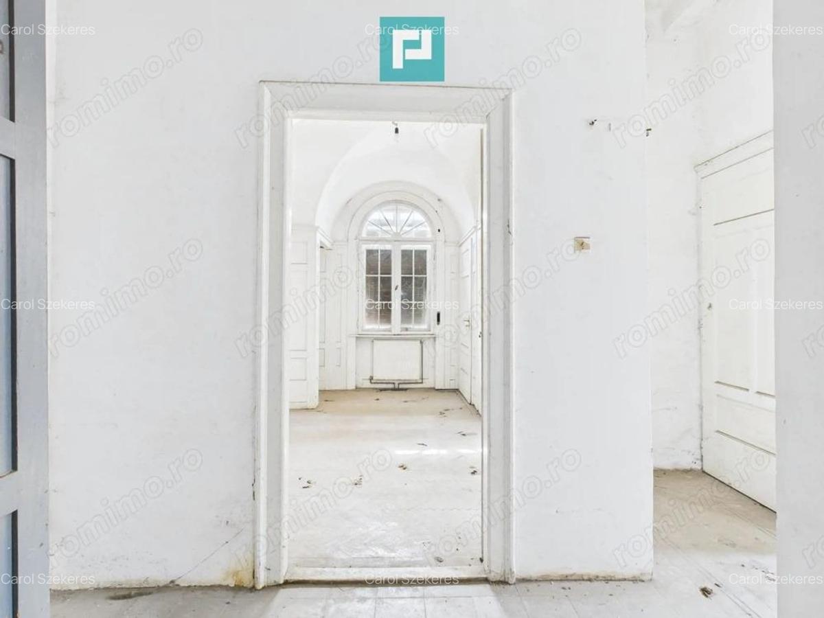 Vila deosebita cu caracter istoric in Periam - 10