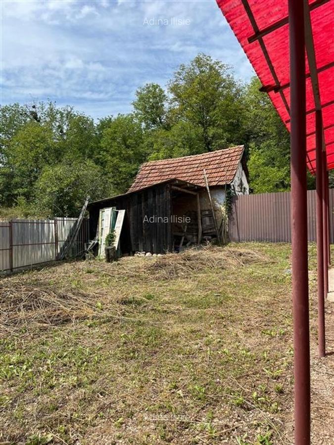 RECO Casa batraneasca cu teren generos la Lupoaia -Holod - 9