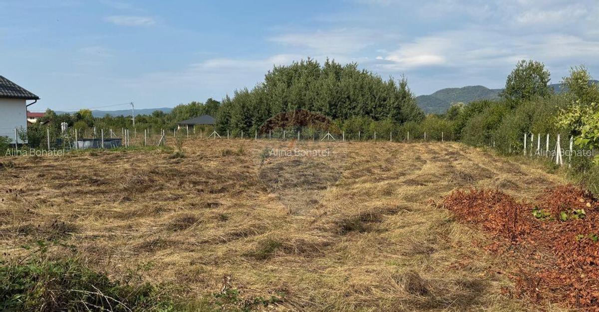 De vanzare Teren intravilan in Busag, ideal pentru casa... - 4
