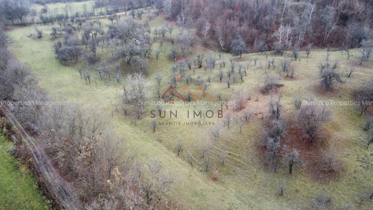 Teren Construcții intravilan de 36000 mp, în Provița de Jos - 9