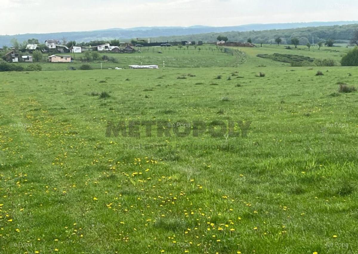 Teren intravilan 438 mp | Calea Cisnadiei Str. Zorilor - 6 Teren intravilan 438 mp | Calea Cisnadiei Str. Zorilor - 6