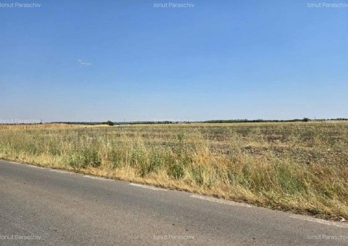 Teren extravilan Smardioasa, cota 1/6, ID: R2688427 - 2