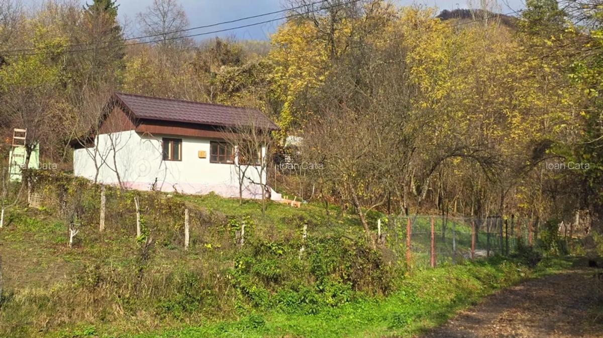 Casa de vacanta zona de padure, Trestioara Prahova - 5