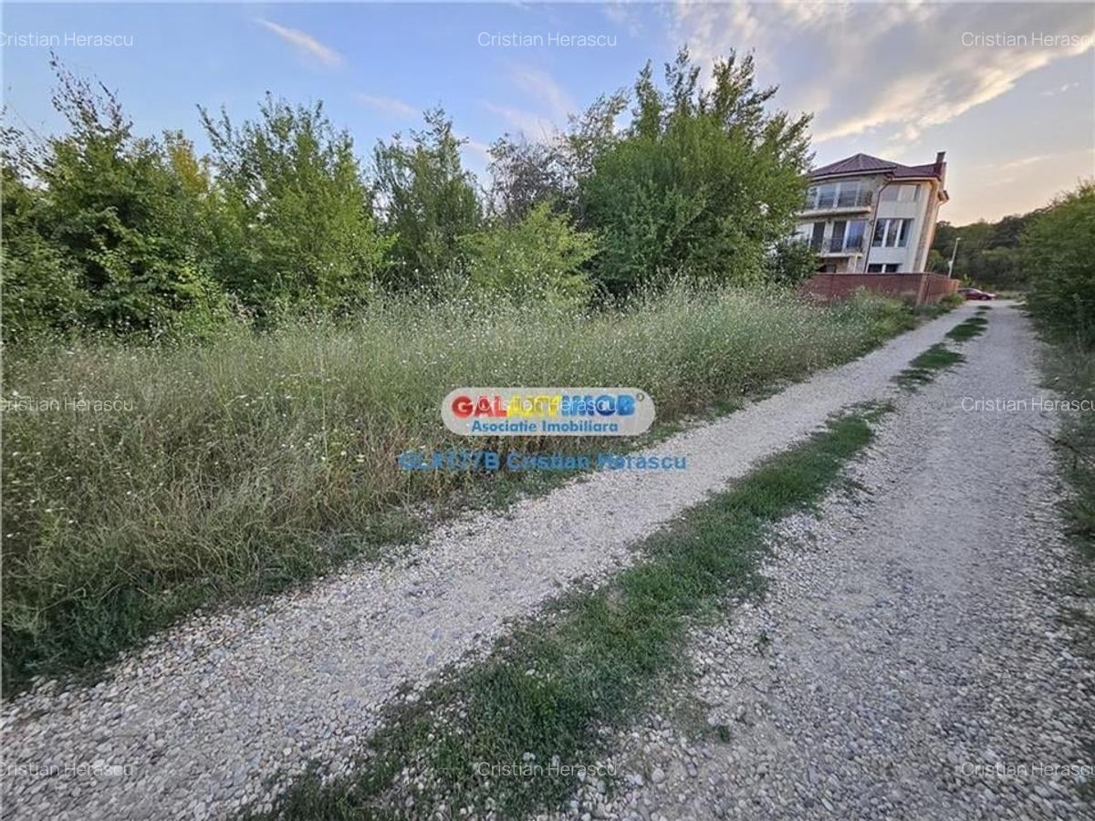 Buftea Flamanzeni 843 mp Str Independentei - 13