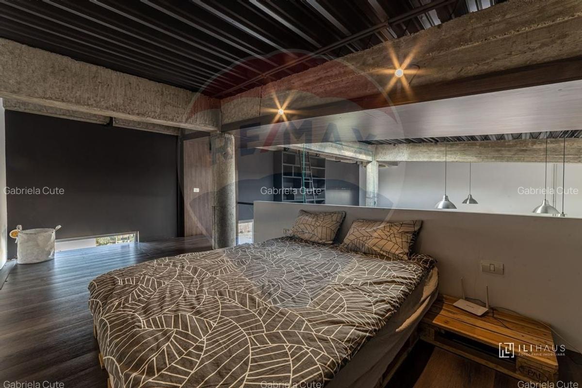 Penthouse de inchiriat in zona Micalaca - 3