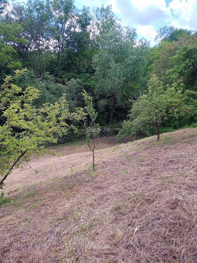 Vand casa sat Badeni, com. Moldovene?ti, jud. Cluj - 6 Vand casa sat Badeni, com. Moldovene?ti, jud. Cluj - 6