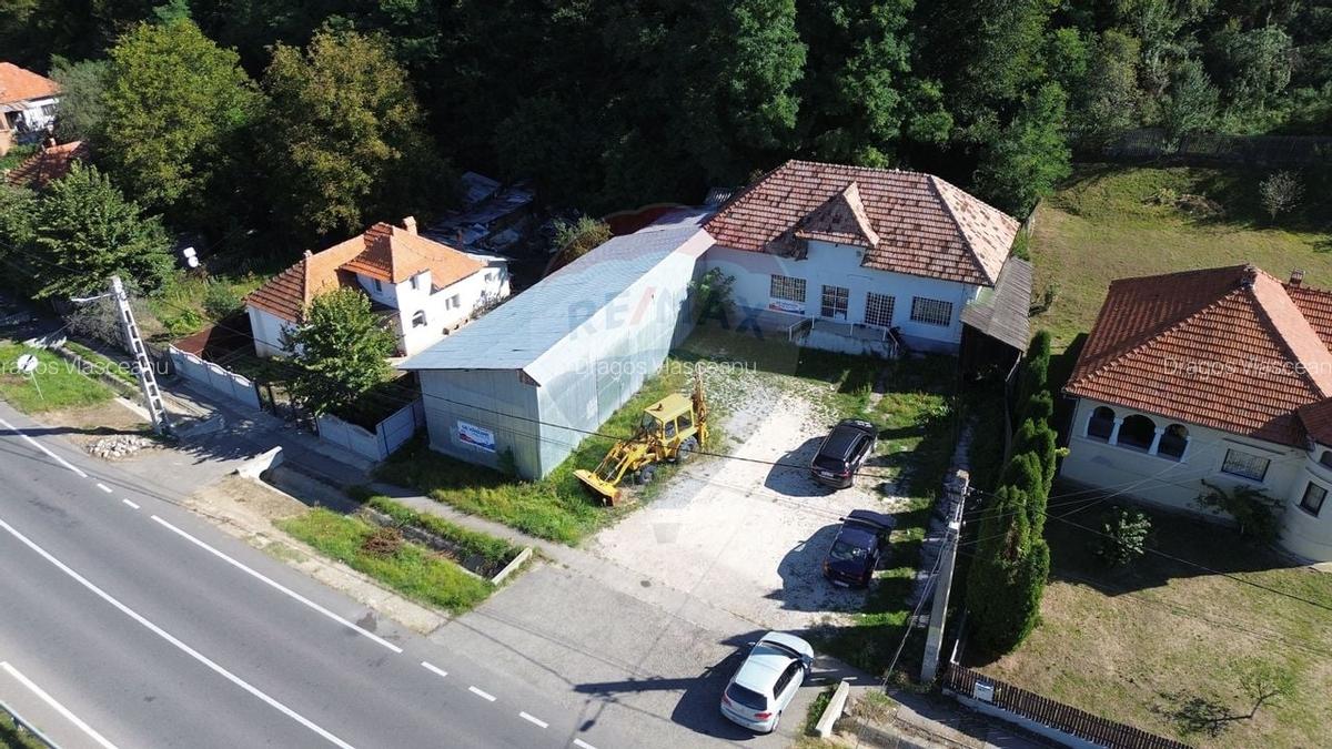 Spatiu comercial si casa de vanzare in Furnicosi. - 14