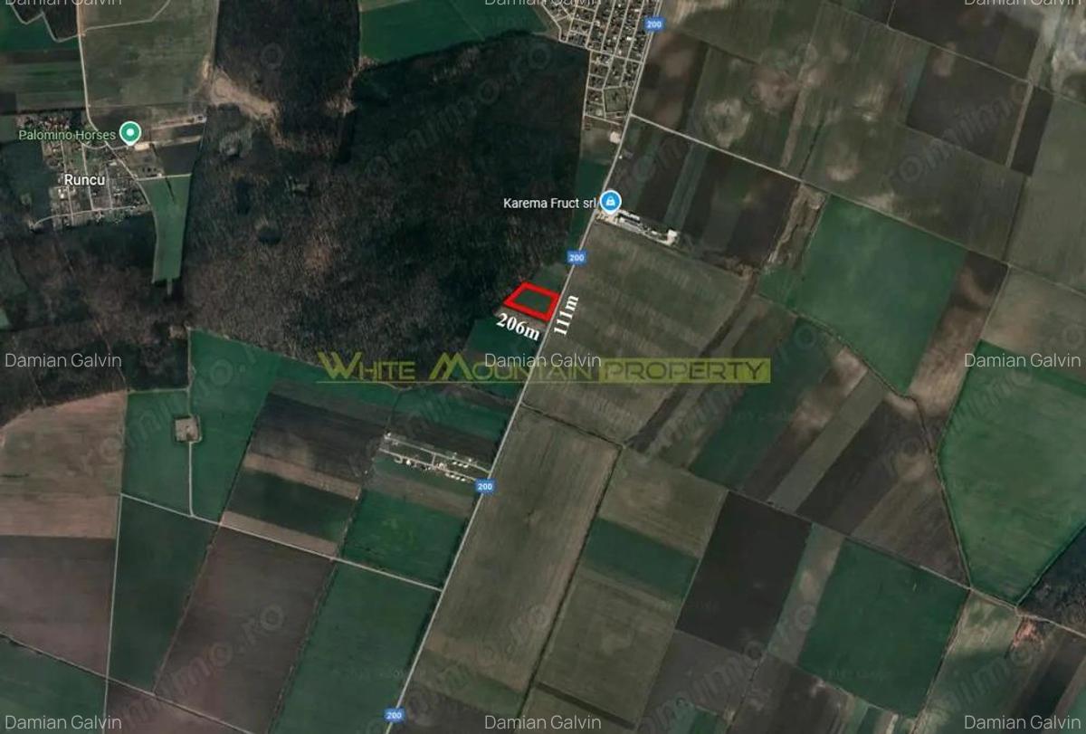 Dascalu, Ilfov, 2 ha teren de vanzare - 2