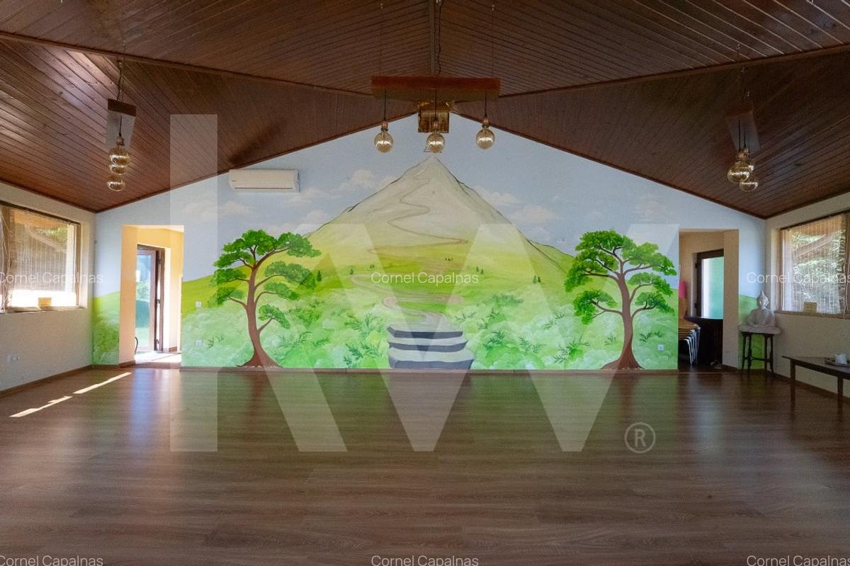 4 Casute de vacanta cu teren de 2000 mp liberi Cisnadioara - 15