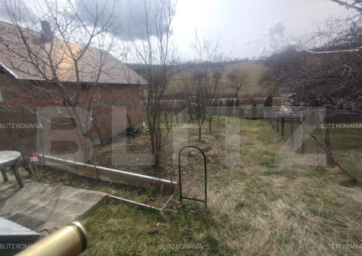 Teren 300 mp + Cabana,zona Livezile,Valea Lunga - 6
